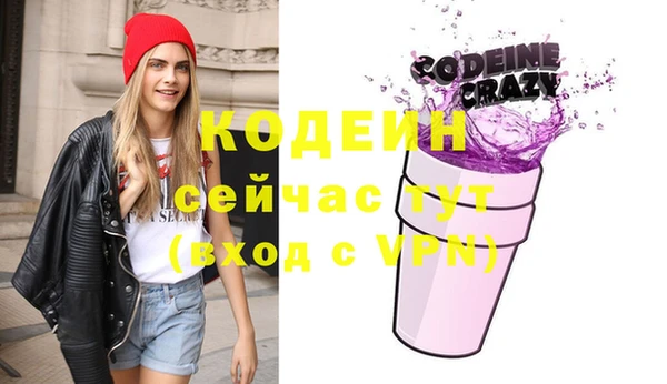 индика Гусиноозёрск