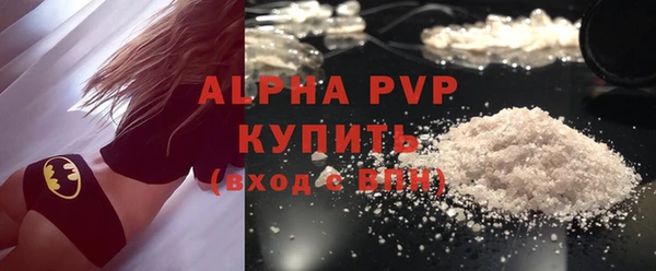 индика Гусиноозёрск