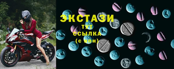 индика Гусиноозёрск