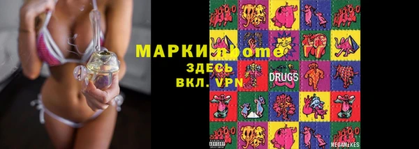 индика Гусиноозёрск