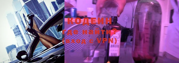 индика Гусиноозёрск
