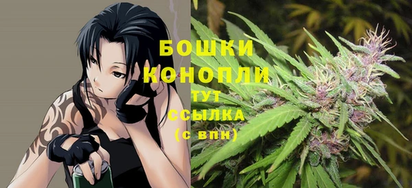 индика Гусиноозёрск