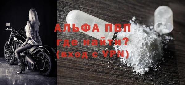 индика Гусиноозёрск