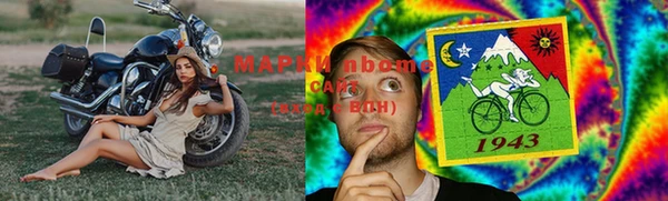 индика Гусиноозёрск