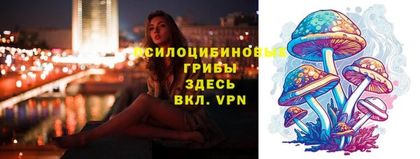 трава Гусь-Хрустальный