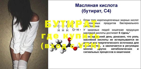индика Гусиноозёрск
