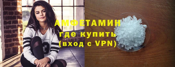 индика Гусиноозёрск