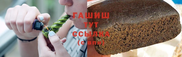 индика Гусиноозёрск