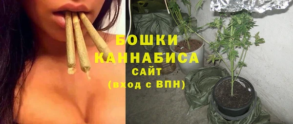 индика Гусиноозёрск