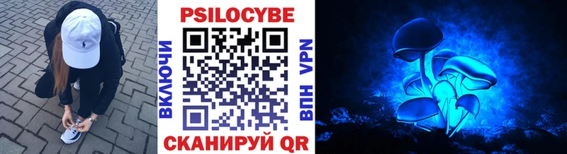 Псилоцибиновые грибы мицелий  Купить где  Остров 