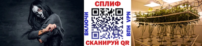Купить где  Остров  Марихуана индика 
